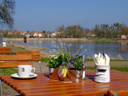 Foto: Elbterrasse Wörlitz